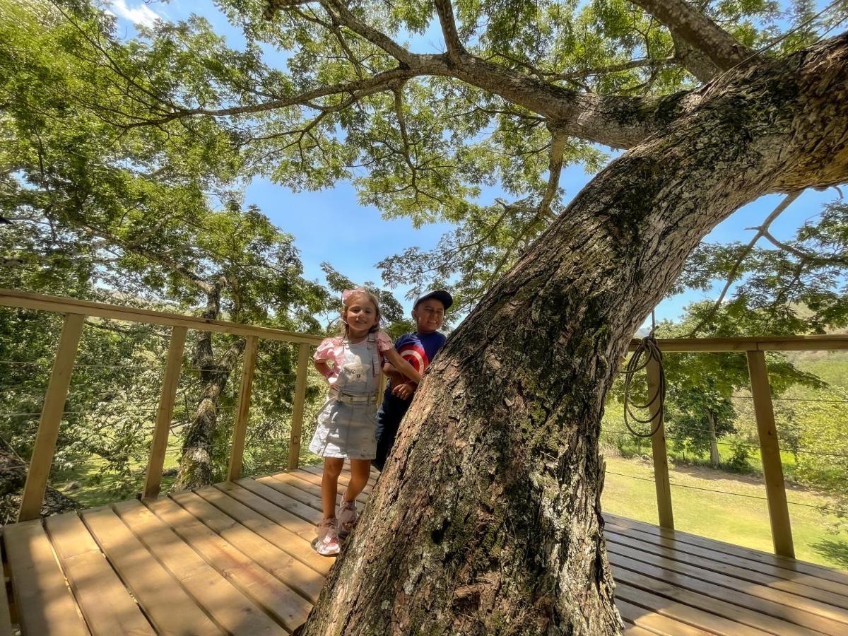 Вілла Casa En El Arbol Utica Екстер'єр фото