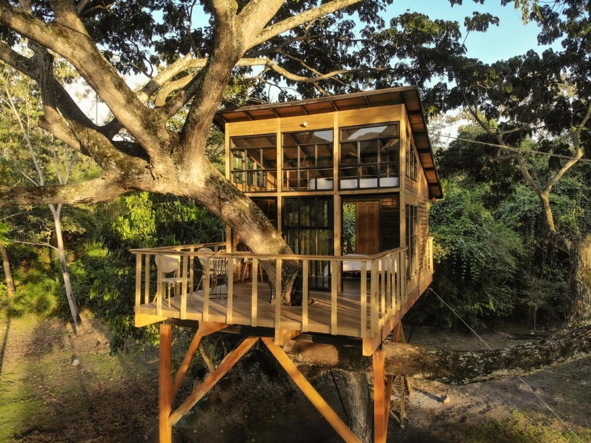 Вілла Casa En El Arbol Utica Екстер'єр фото