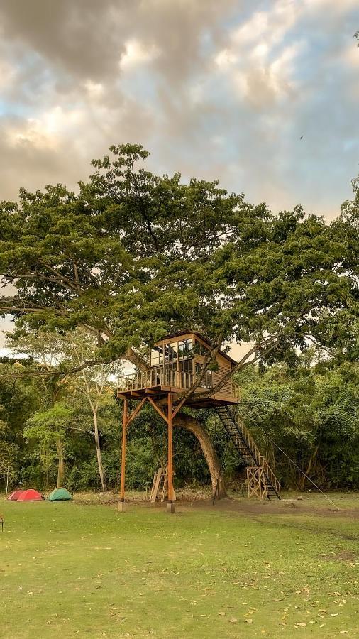 Вілла Casa En El Arbol Utica Екстер'єр фото