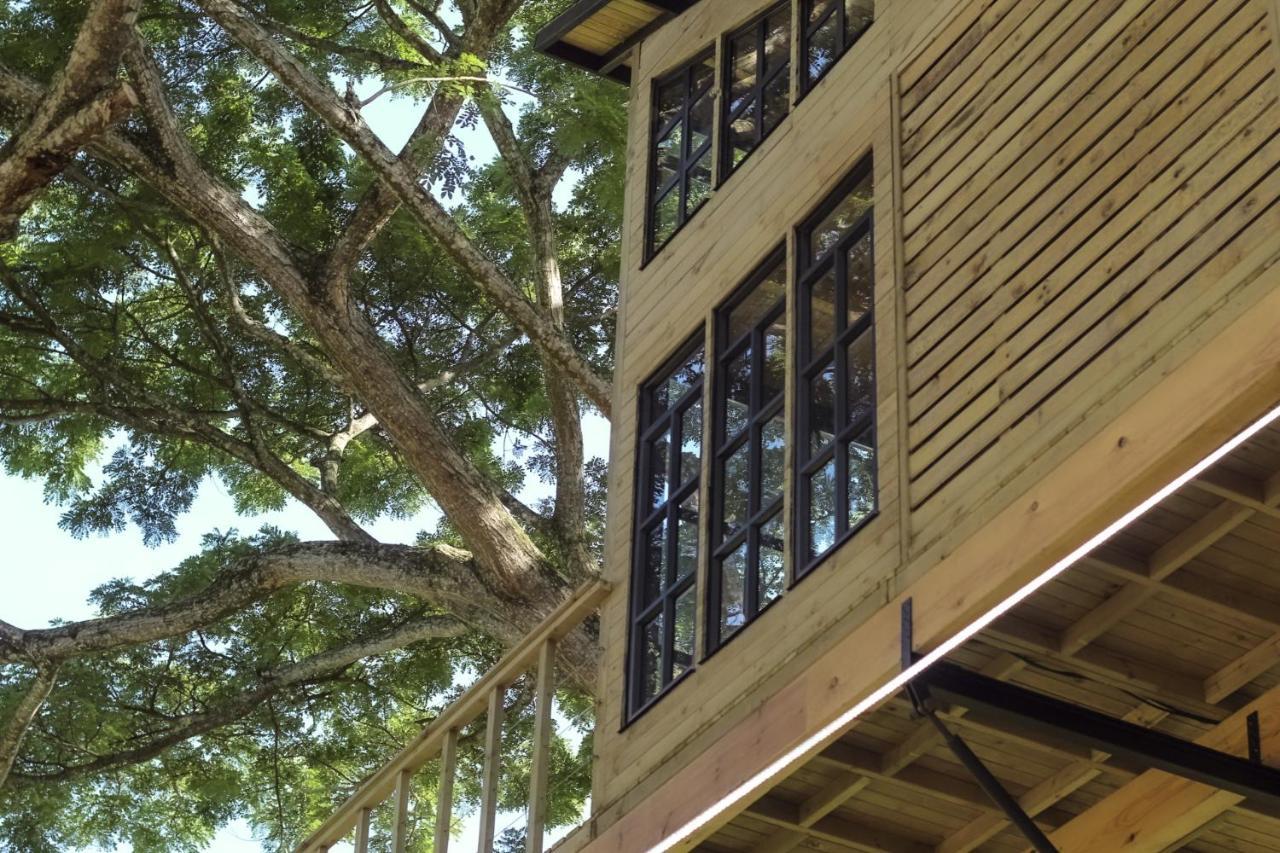 Вілла Casa En El Arbol Utica Екстер'єр фото